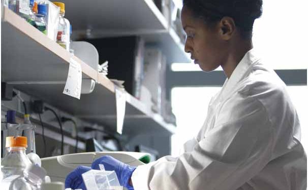 Institute of Oncology Research