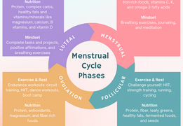 The Menstrual Cycle Explained: Phases, Symptoms, and What to Expect – A Complete & Powerful Guide