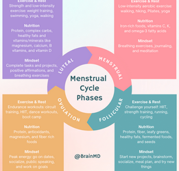 The Menstrual Cycle Explained: Phases, Symptoms, and What to Expect – A Complete & Powerful Guide