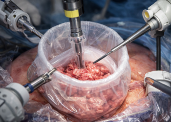 The Role of Morcellation Bags in Minimally Invasive Surgery