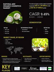 Natural and Organic Cosmetics Market Size, Trends & Growth Forecast 2025–2032